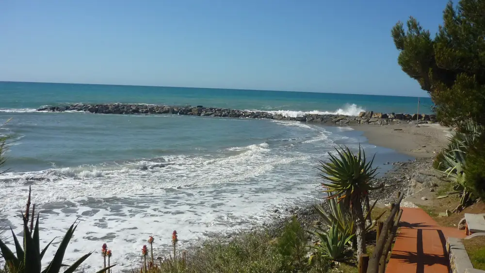 Spiaggia con mare e vegetazione