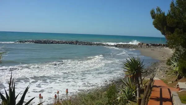 Spiaggia con mare e vegetazione