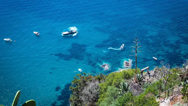 Vista aerea di barche che navigano nel mare blu profondo vicino alla costa rocciosa con vegetazione.