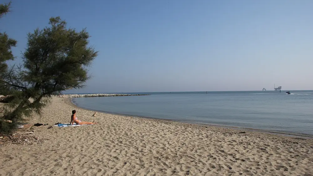 Spiaggia deserta con una persona sdraiata su un asciugamano e un cane vicino al mare.