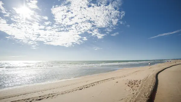 Spiagge di Ravenna