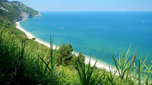 Vista panoramica di una spiaggia con acqua blu profonda e cielo blu, con erba alta in primo piano.