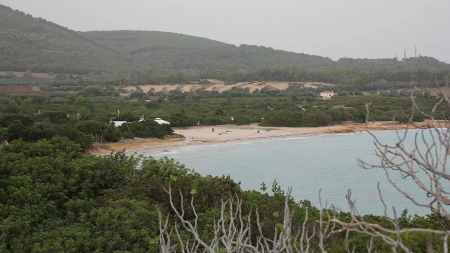 Spiaggia di Alghero con acqua cristallina e vegetazione intorno