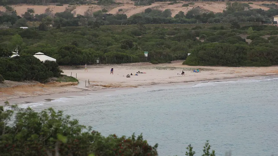 Spiaggia tranquilla con persone che si rilassano e un paesaggio verde intorno
