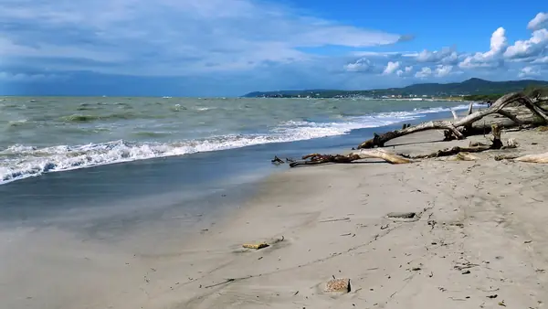 Spiagge di Livorno