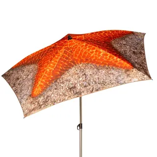 Aktive Ombrellone 8 Aste 180 Cm Stella Marina Parasole